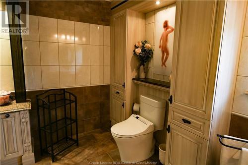 599 West River Rd, Grand Falls, NB - Indoor Photo Showing Bathroom