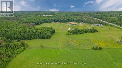 2233 North Orr Lake Road, Springwater, ON - Outdoor With View