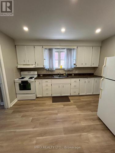 Main - 102 Ellis Avenue, Kitchener, ON - Indoor Photo Showing Kitchen With Double Sink