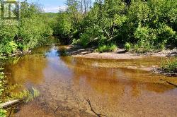 Four Mile Creek - 