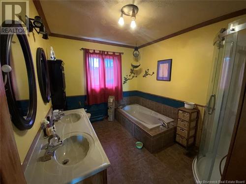 501 St-Michel Road, Saint-Jacques, NB - Indoor Photo Showing Bathroom