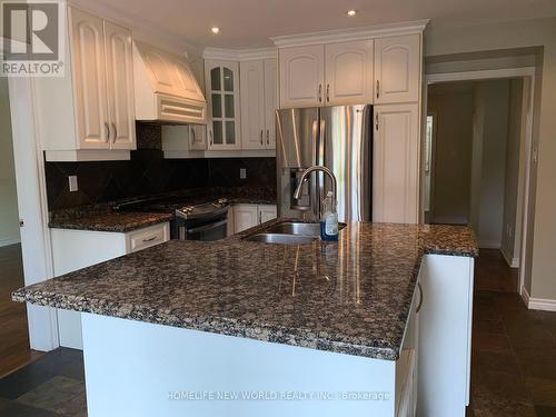 33 Ashfield Drive, Richmond Hill (Oak Ridges Lake Wilcox), ON - Indoor Photo Showing Kitchen With Double Sink With Upgraded Kitchen