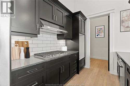 247 Brock Street Unit# 203, Amherstburg, ON - Indoor Photo Showing Kitchen With Upgraded Kitchen