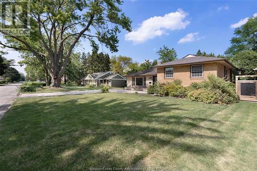 420 Eastlawn, Windsor, ON - Outdoor