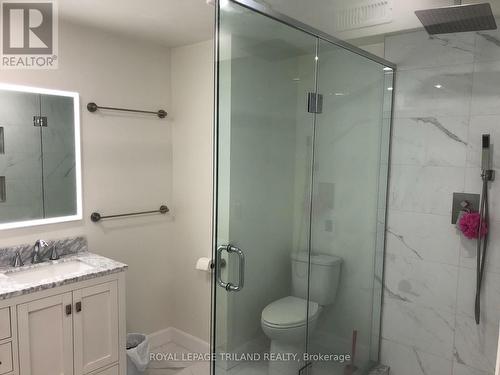 303 Berryhill Drive, London, ON - Indoor Photo Showing Bathroom