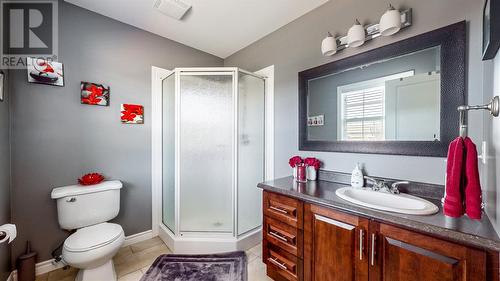 114 Mallow Drive, Paradise, NL - Indoor Photo Showing Bathroom