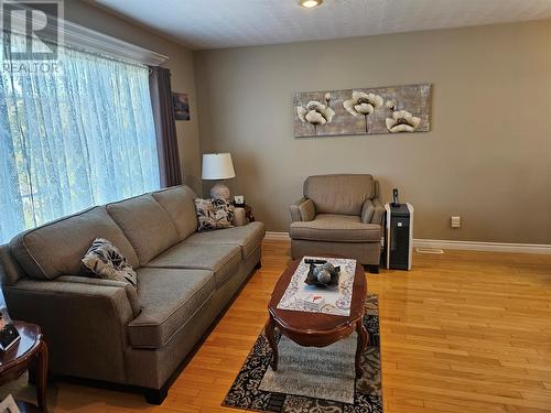 35 Regional Street, Channel-Port Aux Basques, NL - Indoor Photo Showing Living Room