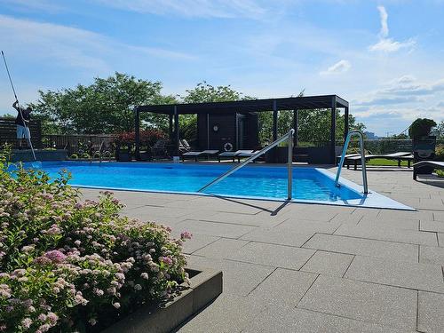 Pool - 1305-70 Rue De La Barre, Longueuil (Le Vieux-Longueuil), QC - Outdoor With In Ground Pool