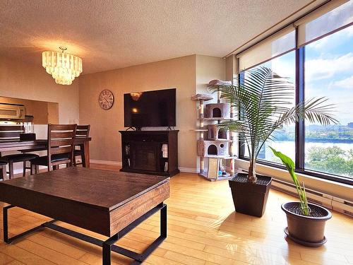 Salon - 1305-70 Rue De La Barre, Longueuil (Le Vieux-Longueuil), QC - Indoor Photo Showing Living Room