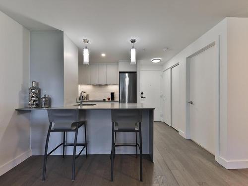 Kitchen - 408-1552 Rue Des Bassins, Montréal (Le Sud-Ouest), QC - Indoor Photo Showing Kitchen With Upgraded Kitchen