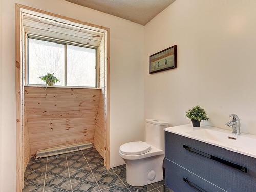 Salle d'eau - 229Z 2E Rang, Saint-François-Xavier-De-Brompton, QC - Indoor Photo Showing Bathroom