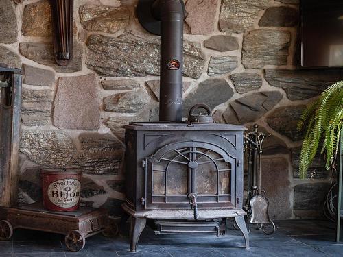 Salon - 229Z 2E Rang, Saint-François-Xavier-De-Brompton, QC - Indoor Photo Showing Living Room With Fireplace