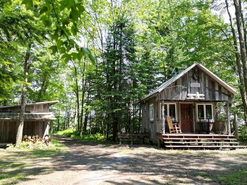 Overall view - 399Z Rg Ste-Catherine, Saint-Gérard-Majella, QC - Outdoor