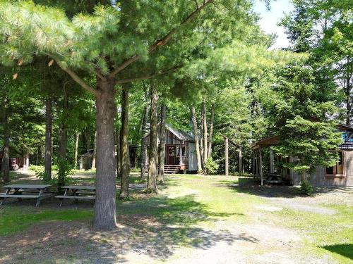 Overall view - 399Z Rg Ste-Catherine, Saint-Gérard-Majella, QC - Outdoor