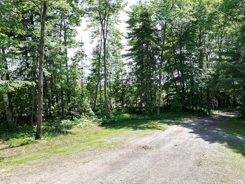 Overall view - 399Z Rg Ste-Catherine, Saint-Gérard-Majella, QC - Outdoor