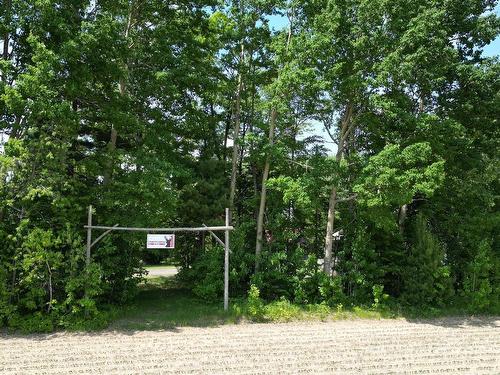 Overall view - 399Z Rg Ste-Catherine, Saint-Gérard-Majella, QC - Outdoor