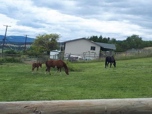 4291 Black Road, Kelowna, BC - Outdoor