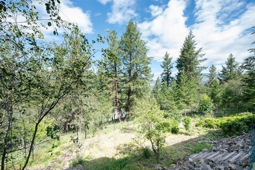 46 Farchant Way, Vernon, BC - Outdoor With View