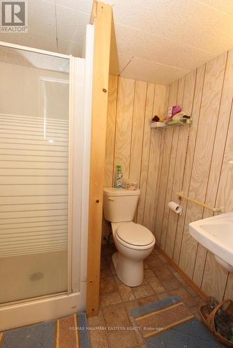 25 King Street E, Havelock-Belmont-Methuen, ON - Indoor Photo Showing Bathroom