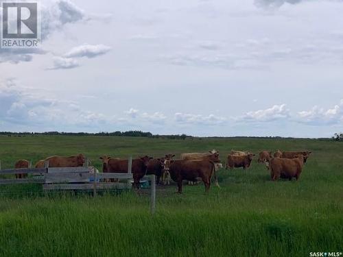 Rm Wolverine Pasture Land, Wolverine Rm No. 340, SK 