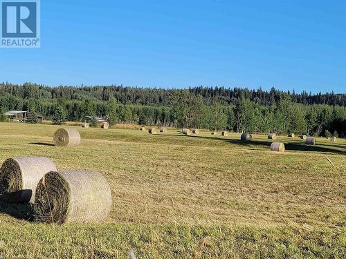 6175 Beaver Forest Road, Prince George, BC - Outdoor With View