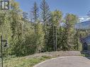 9 Alpine Trail Place, Fernie, BC 