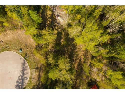 9 Alpine Trail Place, Fernie, BC 