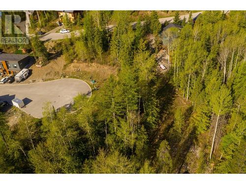 9 Alpine Trail Place, Fernie, BC 