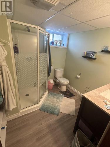 376 Mckelvie St, Temiskaming Shores, ON - Indoor Photo Showing Bathroom