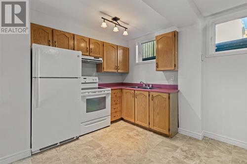 57 Nash Crescent, Mount Pearl, NL - Indoor Photo Showing Kitchen With Double Sink
