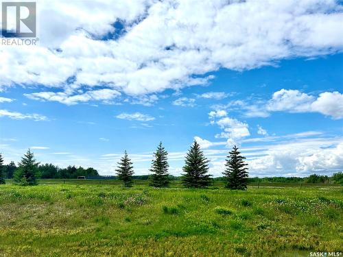Wilkinson/ Lisowik Acreage, Bjorkdale, SK - Outdoor With View