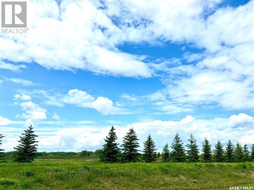 Wilkinson/ Lisowik Acreage, Bjorkdale, SK - Outdoor With View