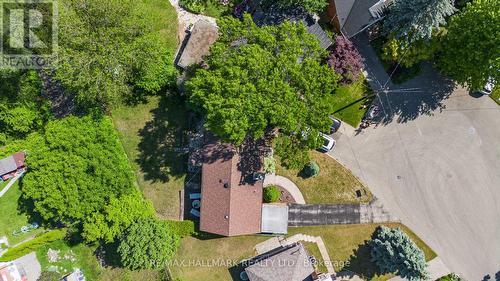 31 Beaucourt Road, Toronto, ON - Outdoor With View