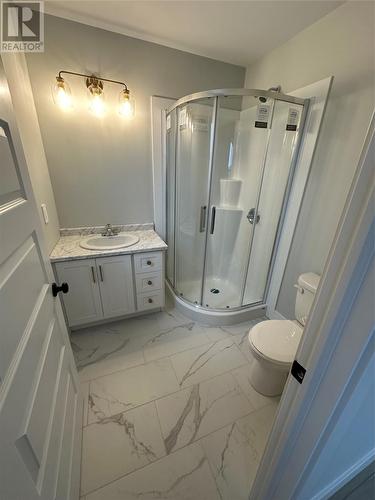 16 Chambers Cove Avenue, Mount Pearl, NL - Indoor Photo Showing Bathroom