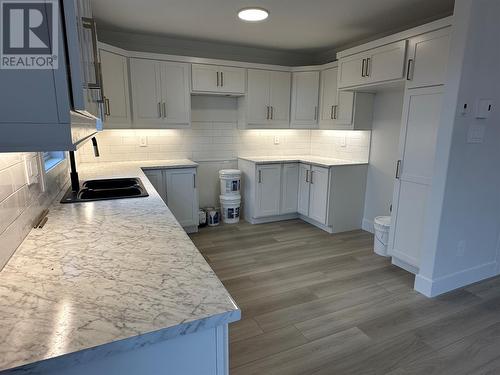 16 Chambers Cove Avenue, Mount Pearl, NL - Indoor Photo Showing Kitchen With Double Sink