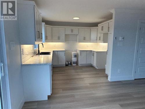 16 Chambers Cove Avenue, Mount Pearl, NL - Indoor Photo Showing Kitchen