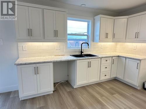 16 Chambers Cove Avenue, Mount Pearl, NL - Indoor Photo Showing Kitchen With Double Sink