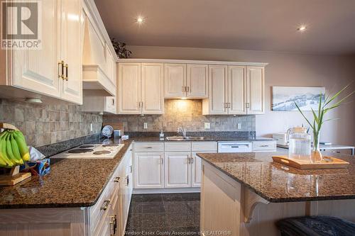 12356 Charlene, Tecumseh, ON - Indoor Photo Showing Kitchen With Double Sink