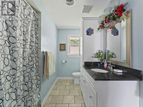 241 Emery Drive, Lakeshore, ON - Indoor Photo Showing Bathroom