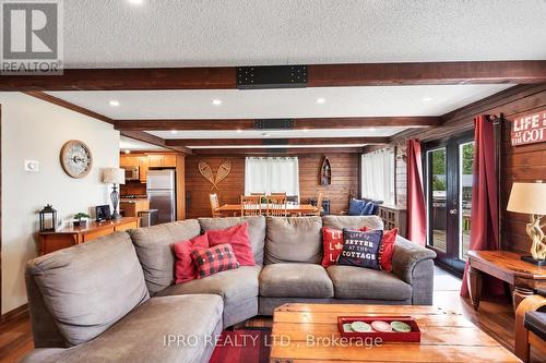 30 Emily Creek Road, Kawartha Lakes, ON - Indoor Photo Showing Living Room