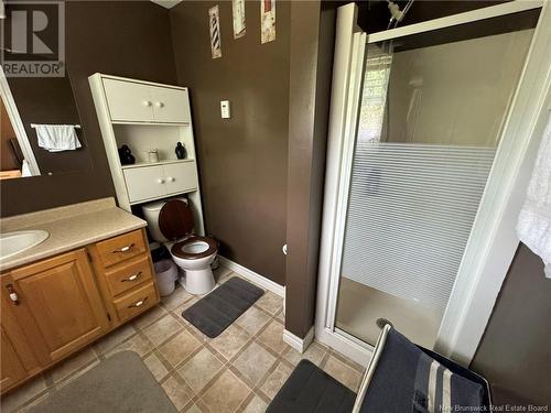 4 Aaron'S Crescent, Lower Woodstock, NB - Indoor Photo Showing Bathroom