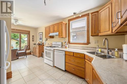 242 Ridout Street S, London, ON - Indoor Photo Showing Kitchen With Double Sink