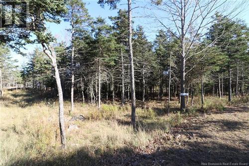 Lot 10-02 Golden Mile Drive, Grand Manan, NB 