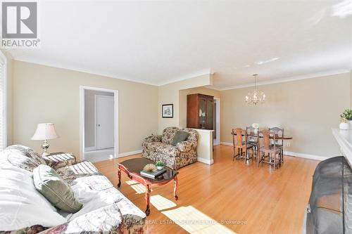 50 Silverhill Drive, Toronto, ON - Indoor Photo Showing Living Room