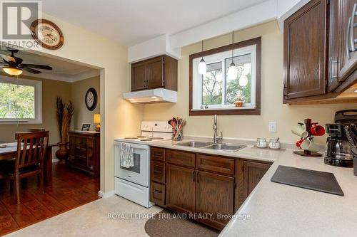 3 St Joseph Street, St. Thomas, ON - Indoor Photo Showing Kitchen With Double Sink