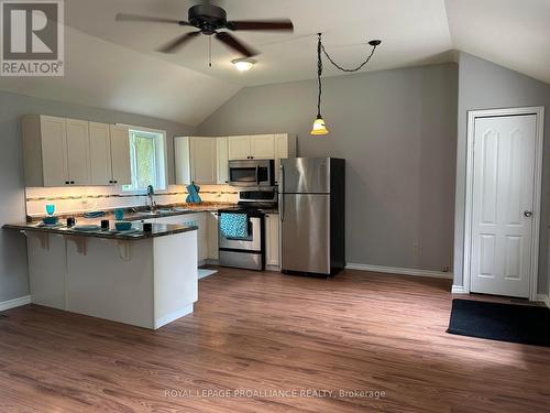 2664 County Road 42, Havelock-Belmont-Methuen, ON - Indoor Photo Showing Kitchen