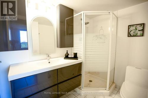 2009 - 100 Upper Madison Avenue, Toronto, ON - Indoor Photo Showing Bathroom