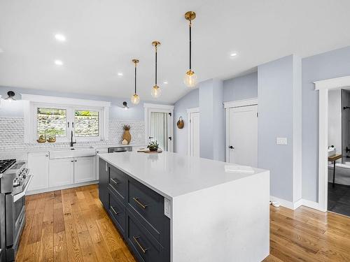 193 Seymour Street, Kamloops, BC - Indoor Photo Showing Kitchen With Upgraded Kitchen