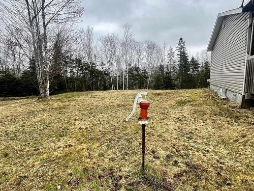 2457 West Big Intervale Road, Portree, NS 