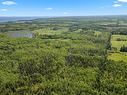 Lot 1467 Toney River Road, Toney River, NS 